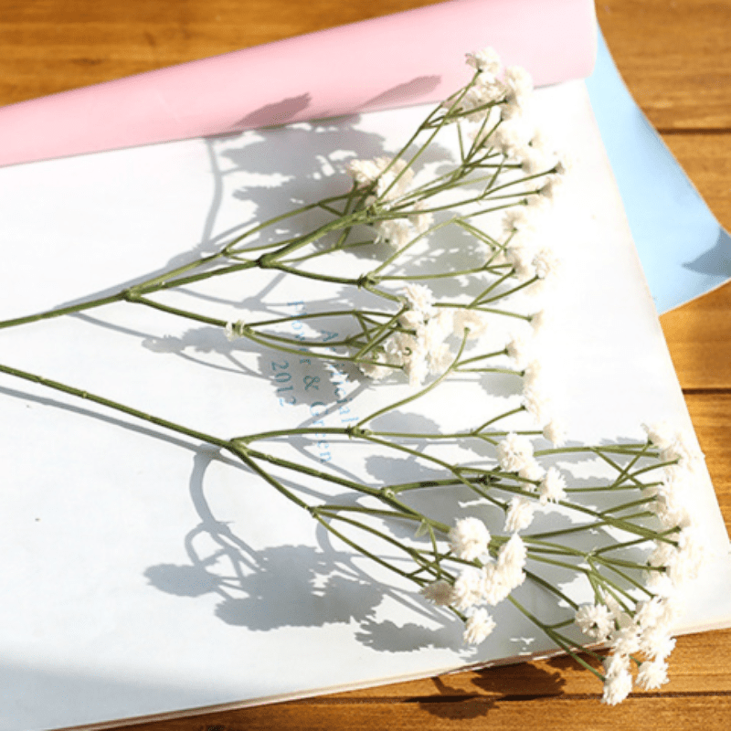 Natural Baby's Breath Flower Gypsophila, Bouquet, Home Decoration, White  Bouquet -  Norway