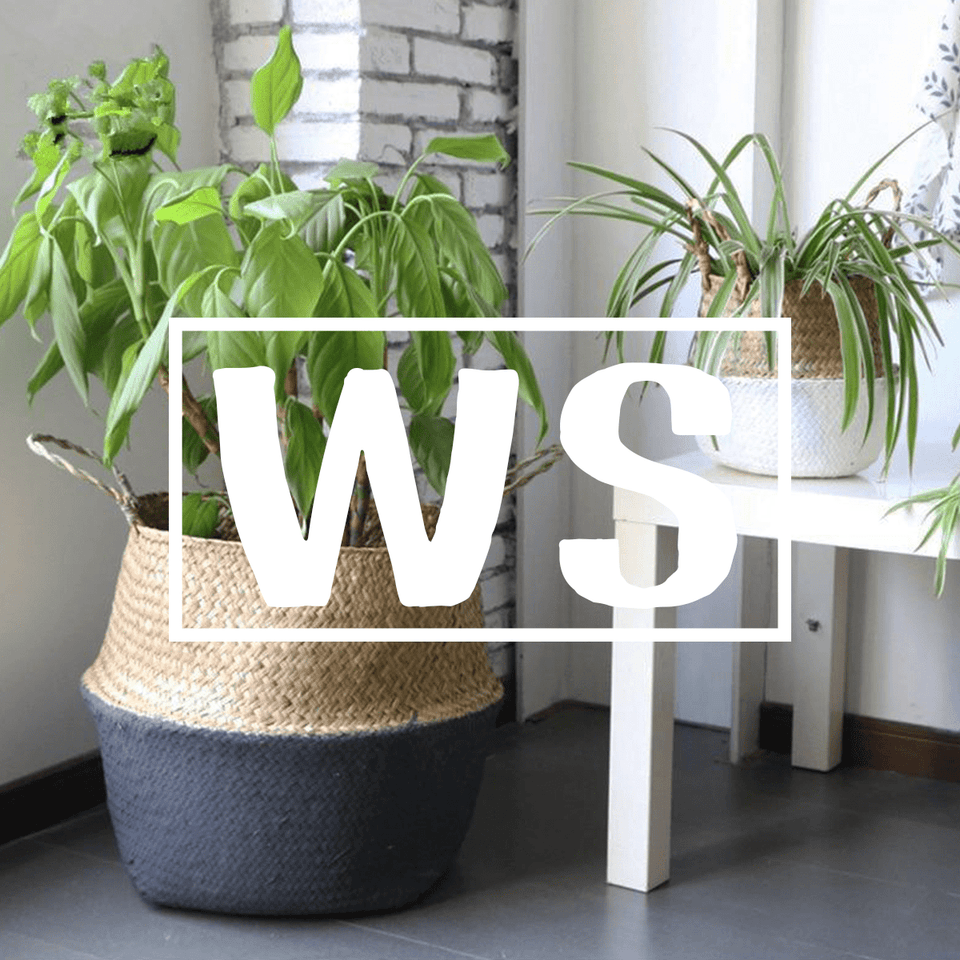 Wood & Plant Series