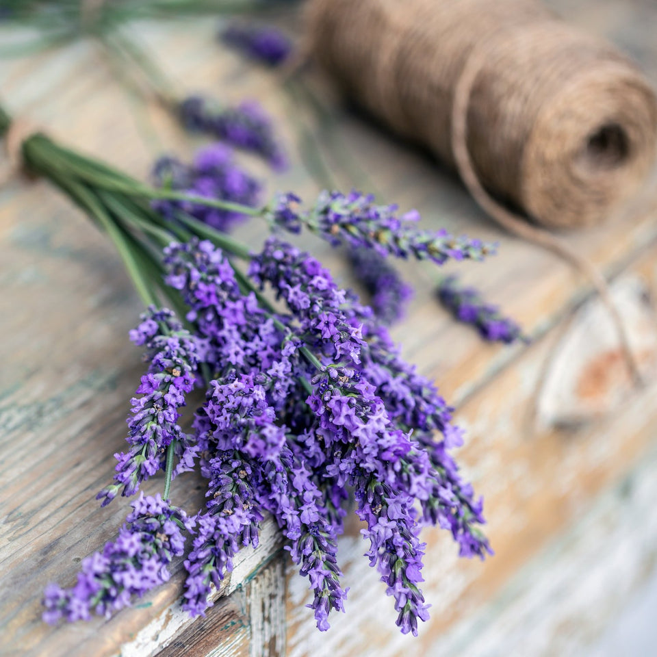 Dried Natural Lavender Bouquet (100g) – Wabi Aesthetic