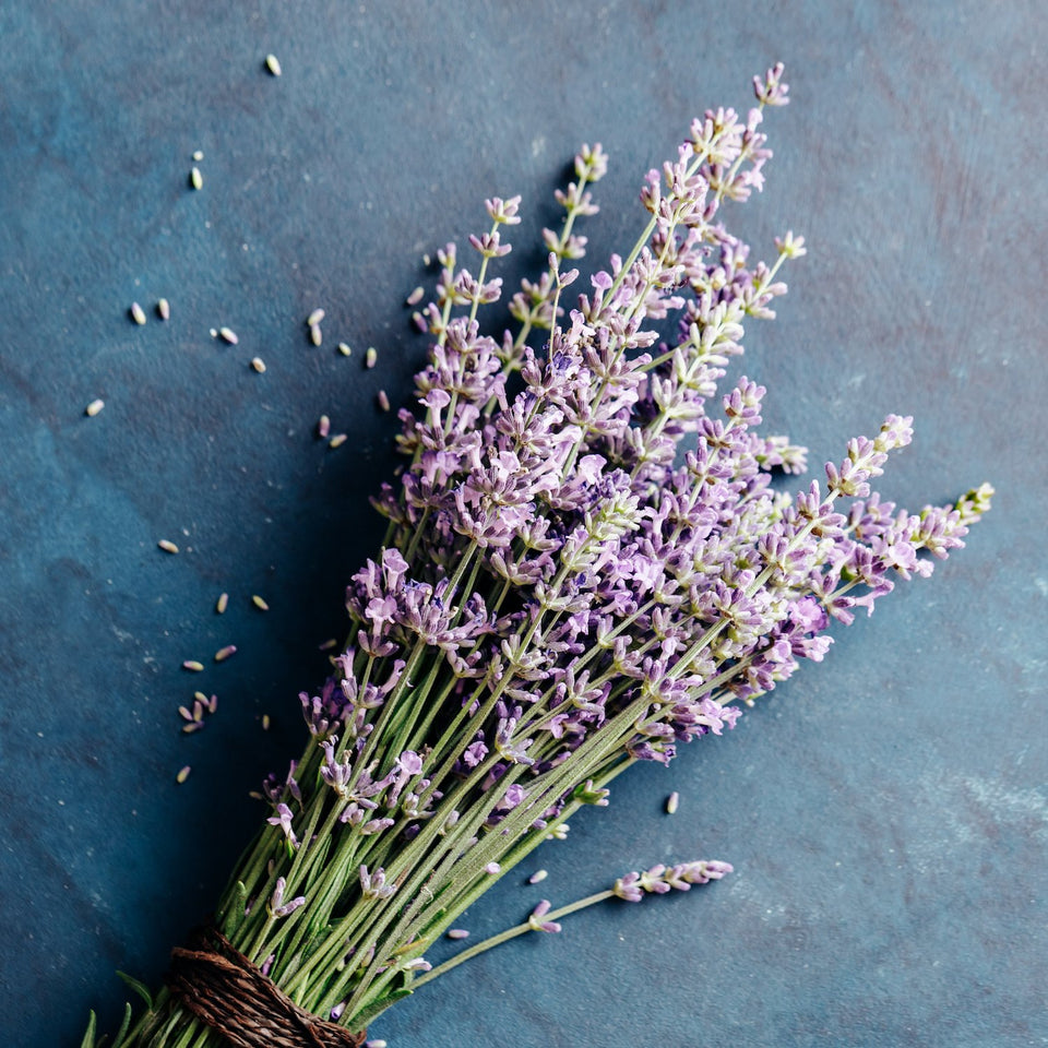lavender flower aesthetic Dried Natural Lavender Bouquet (100g) – Wabi Aesthetic